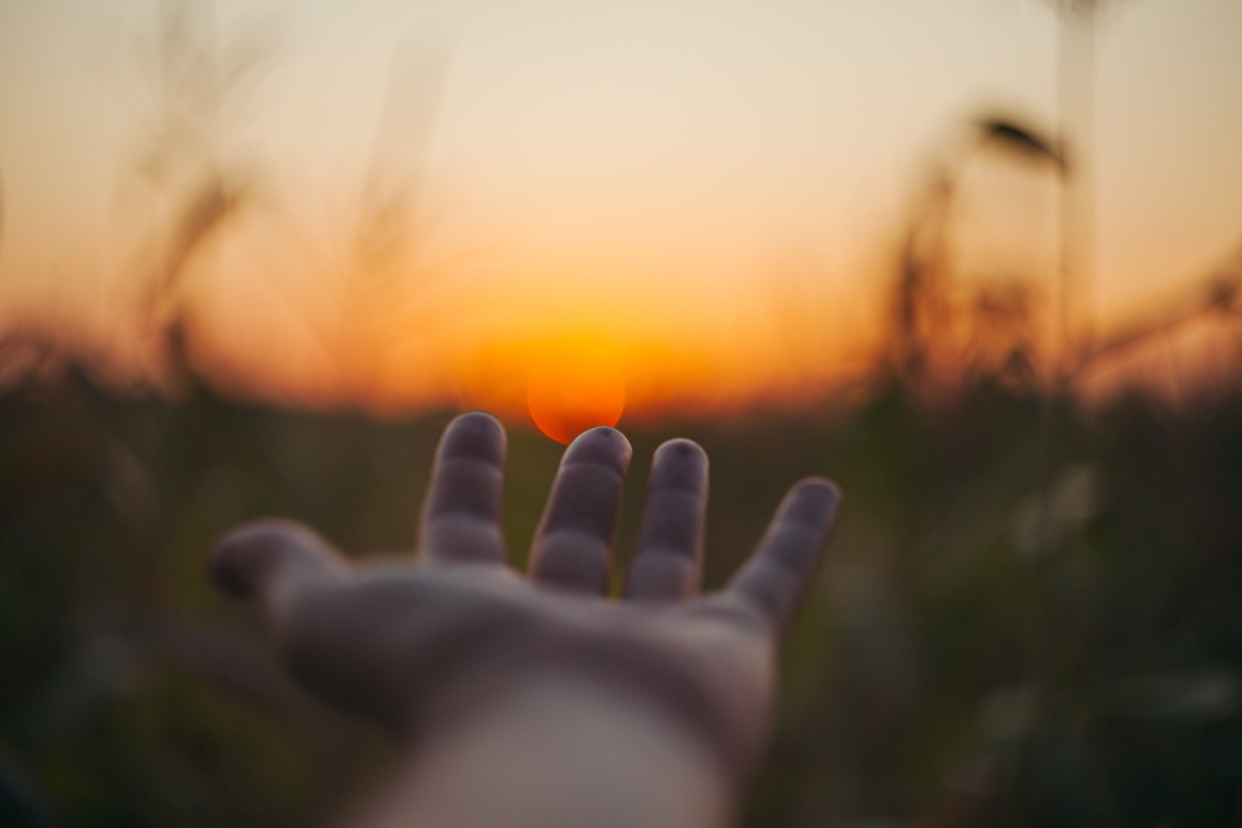 Hand reaching out for sunset